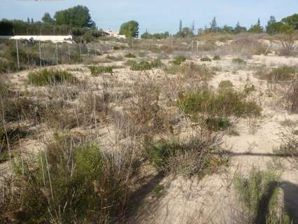 Parcela rústica en venta en Molina de Segura