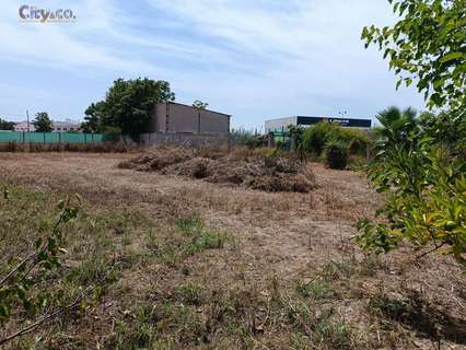 Parcela rústica en venta en Molina de Segura