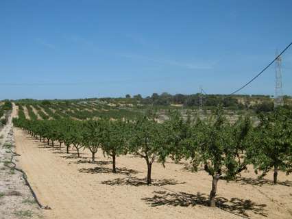 Parcela rústica en venta en Benlloch