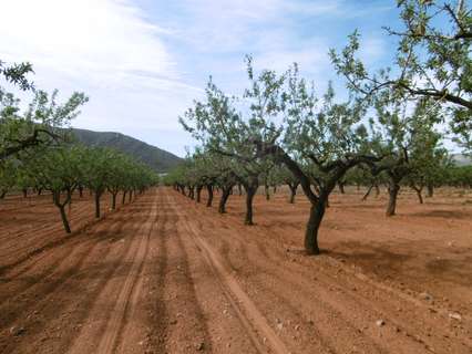 Parcela rústica en venta en Vall d'Alba