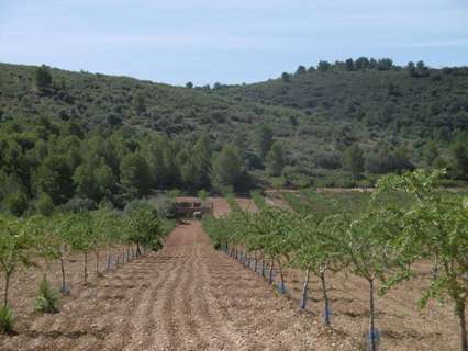 Parcela rústica en venta en Vall d'Alba