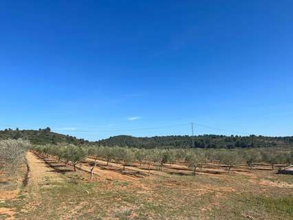 Parcela rústica en venta en Vall d'Alba