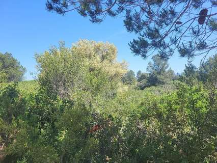 Parcela rústica en venta en Vall d'Alba