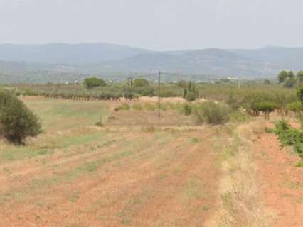 Parcela rústica en venta en Vilafamés