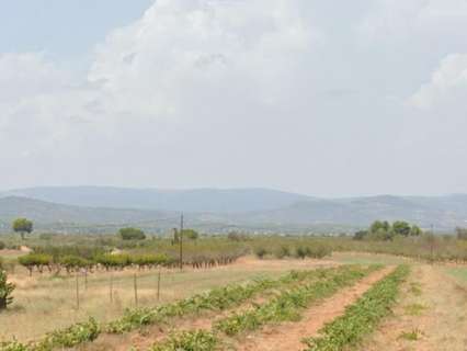 Parcela rústica en venta en Vilafamés