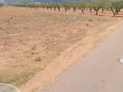 Parcela rústica en venta en Vilafamés