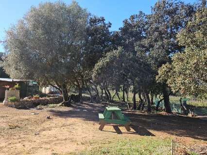 Parcela rústica en venta en Vall d'Alba