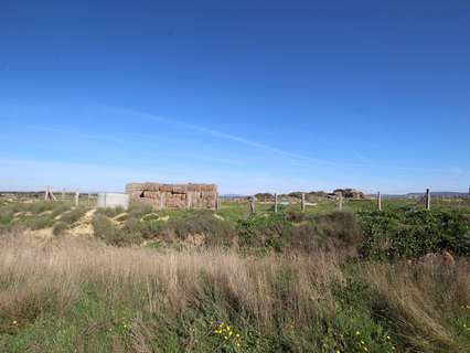Parcela rústica en venta en Sádaba