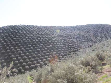 Casa rústica en venta en Pozoblanco