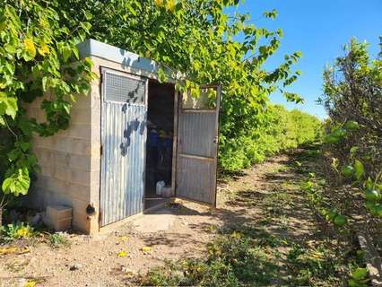 Parcela rústica en venta en Santa Bàrbara