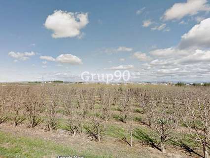 Parcela rústica en venta en Albatàrrec