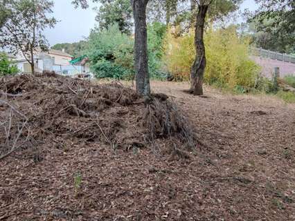 Parcela rústica en venta en Vallgorguina