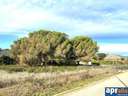 Parcela urbana en venta en Sant Pere de Vilamajor