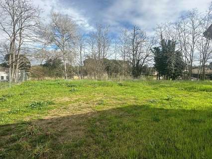 Parcela rústica en venta en Sils rebajada