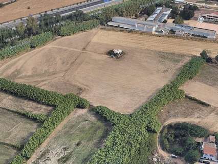 Parcela rústica en venta en Palamós