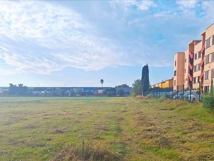 Parcela rústica en venta en Castelló d'Empúries zona Empuriabrava