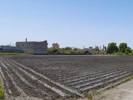 Parcela rústica en venta en Motril