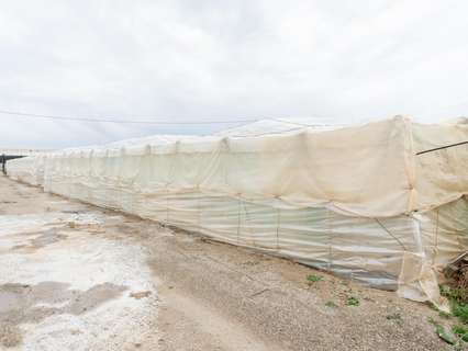 Parcela rústica en venta en Motril zona Calahonda