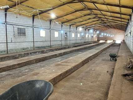 Nave industrial en venta en Escalona del Prado