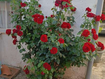 Casa en venta en Sepúlveda