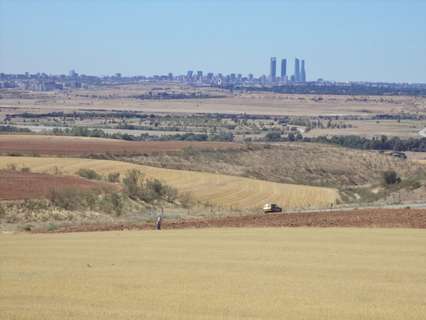 Parcela rústica en venta en Paracuellos de Jarama