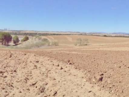 Parcela rústica en venta en Paracuellos de Jarama