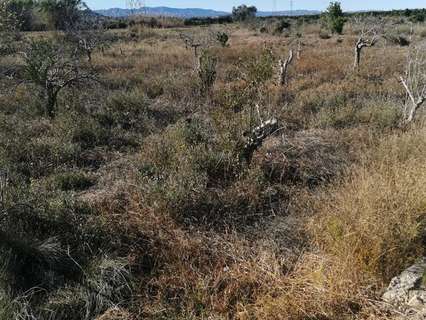 Parcela rústica en venta en Riba-roja de Túria