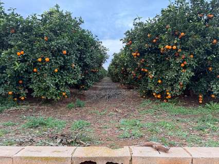 Parcela rústica en venta en Chiva