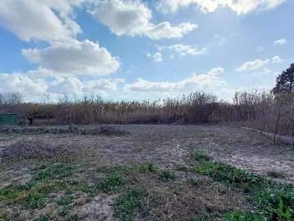 Parcela rústica en venta en Murcia rebajada