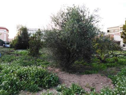 Parcela rústica en venta en Murcia