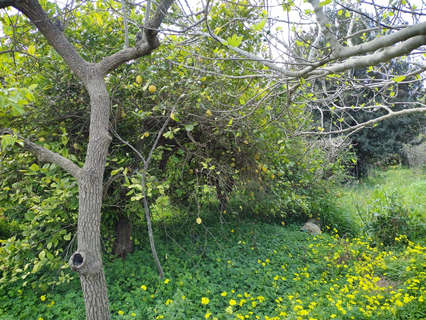 Casa en venta en Murcia zona Puente Tocinos