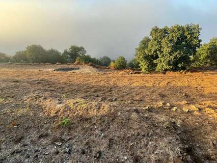 Parcela rústica en venta en La Orotava