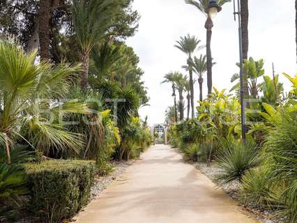 Apartamento en venta en Murcia