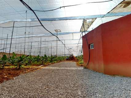 Piso en venta en Gáldar