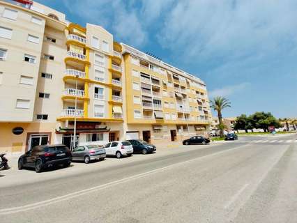 Apartamento en alquiler en Guardamar del Segura