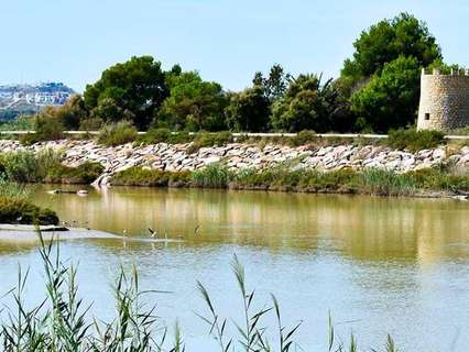 Parcela urbana en venta en Guardamar del Segura