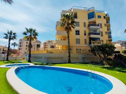 Apartamento en alquiler en Guardamar del Segura