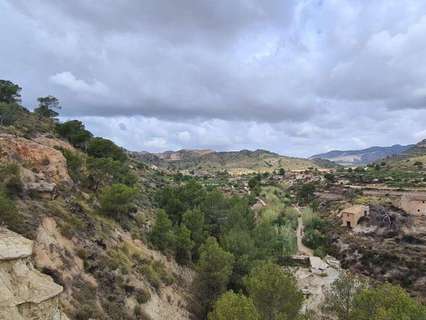 Parcela rústica en venta en Abanilla