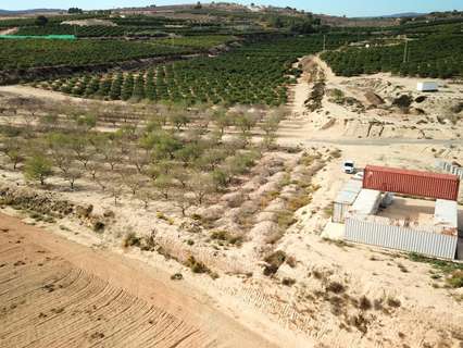 Parcela rústica en venta en Orihuela