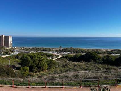 Apartamento en alquiler en Elche/Elx zona Los Arenales del Sol