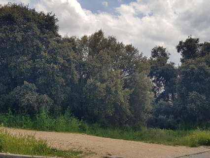 Parcela rústica en venta en Pioz