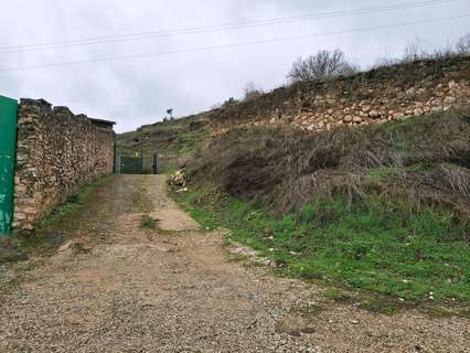 Parcela rústica en venta en Pastrana