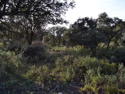 Parcela rústica en venta en Hontoba