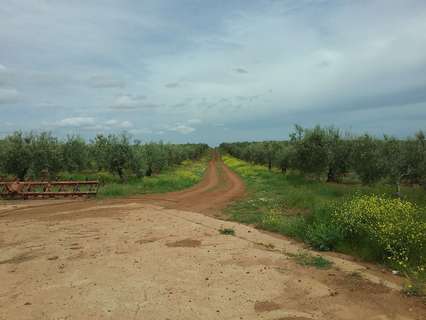 Parcela en venta en La Albuera