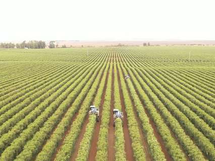 Parcela en venta en Badajoz zona Badajoz