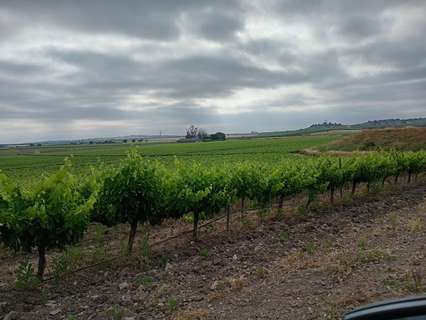 Nave industrial en alquiler en Calzadilla de los Barros zona Calzadilla de los Barros