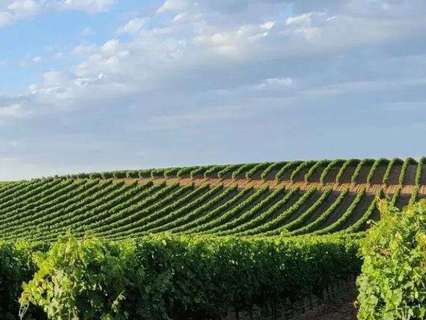 Parcela en venta en La Albuera
