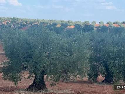 Parcela en venta en Badajoz zona Badajoz