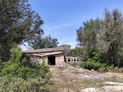 Parcela rústica en venta en Costitx