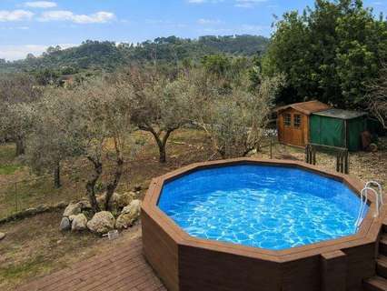 Casa rústica en alquiler en Selva